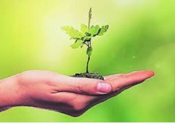 प्रधानमंत्री पीक विमा योजनेत सहभाग घेण्यासाठी ई-पीक पाहणी नोंद सक्तीची नाही