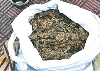 चक्क शहरातील प्रवेशद्वाराजवळ गांजाची विक्री, दीड किलो सुका गांजा जप्त