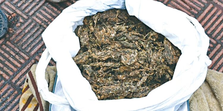 चक्क शहरातील प्रवेशद्वाराजवळ गांजाची विक्री, दीड किलो सुका गांजा जप्त