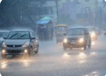 नंदूरबार जिल्ह्यात ८ जुलैपर्यंत मुसळधार ते अतिमुसळधार पावसाची शक्यता