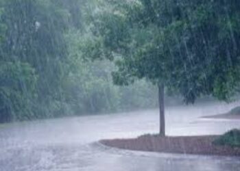 गोमाई नदीकाठच्या गावांतील नागरिकांना सतर्कतेचे आवाहन