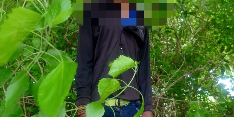 झाडाला गळफास घेत एकाची आत्महत्या, घटनास्थळी आढळली दुचाकी