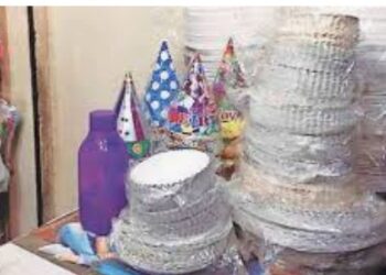 प्लास्टिकचा थर असलेल्या उत्पादनांवर राज्यात बंदी, कप, प्लेट्स, वाडगा, चमचे, कंटेनर यावरही बंदी