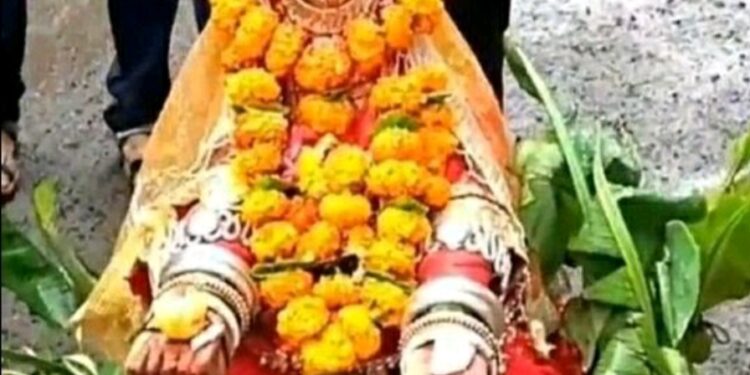 खानदेशातील कन्हेरची कानबाई यंदा उत्साहात