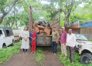 आयशर वाहनामध्ये सुमारे सव्वा तीन लाखाचे मोहा प्रजातीची लाकुड वनविभागाने केले जप्त
