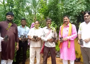 चंदनाचे झाडे शेताच्या बांधावर लावून उत्पन्नात वाढ करा: आ. आमश्या पाडवी