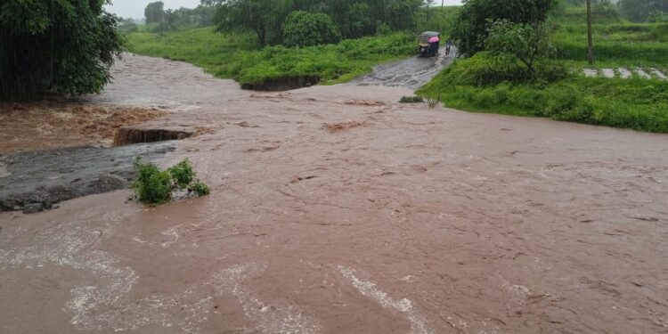 गेल्या ४८ तासापासून जिल्ह्यात पावसाची संततधार, नदी नाल्यांना पूर