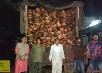 नवापूर येथे वनविभागाच्या कारवाईत साडेतीन लाखांचे जळाऊ लाकूड जप्त
