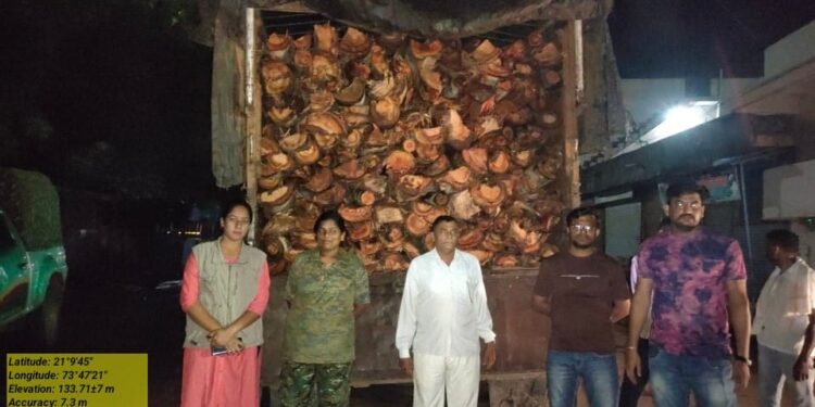 नवापूर येथे वनविभागाच्या कारवाईत साडेतीन लाखांचे जळाऊ लाकूड जप्त