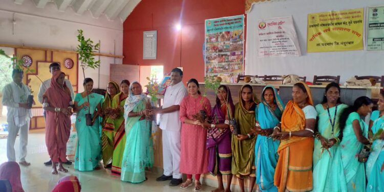 परोपकारी झाडे लावा अन् जीवन फुलवा : ॲड.पद्माकर वळवी, सातपुडा ग्रीन व्हॅली ॲग्री.कंपनीतर्फे धडगावात ६० हजार रोपवाटप