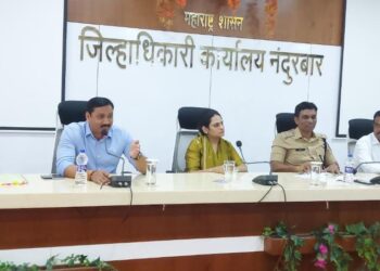 गणेशोत्सव साजरा करतांना नियमांचे पालन करावे : जिल्हाधिकारी मनीषा खत्री