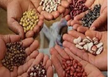 कृषि प्रक्रीया उद्योगासाठी कर्ज मंजूर पंधरवाड्याचे आयोजन