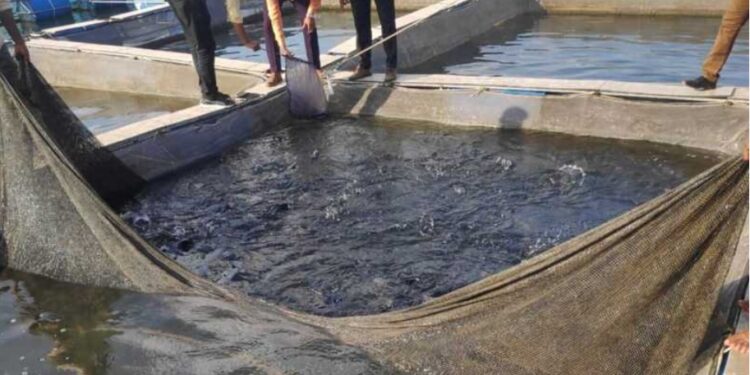 मत्स्यव्यवसायाशी निगडीत कामगारांनी ई-श्रम पोर्टलवर नोंदणी करावी