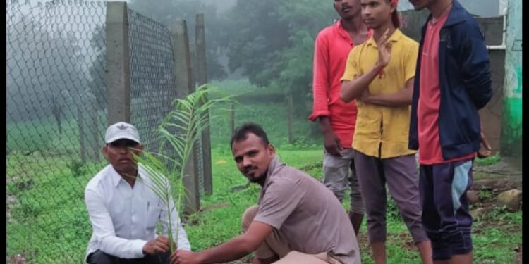 खाई जि.प. शाळेत लोकसहभागातून वृक्षारोपण