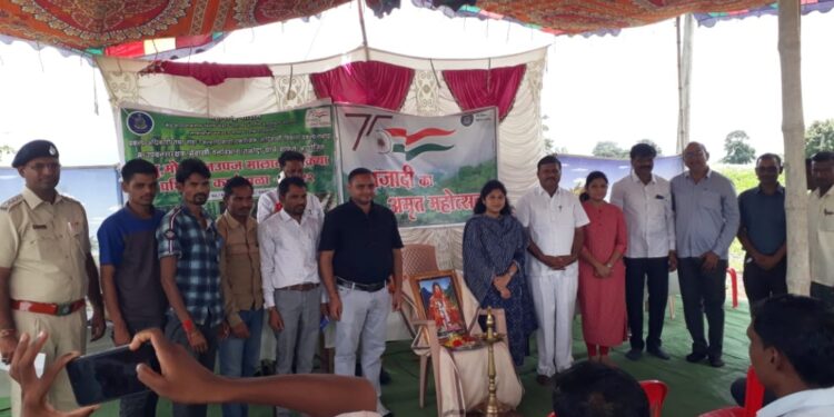 स्थलांतर रोखण्यासाठी वृक्ष लागवड व वने संरक्षण आवश्यक : ॲड. सीमा वळवी