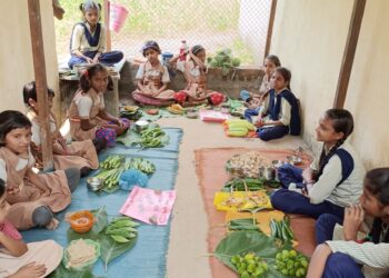 सातपुड्याच्या कुशीत निसर्गाचं समृद्ध वरदान, विद्यार्थ्यानी दाखवले रानभाज्या उत्सवात