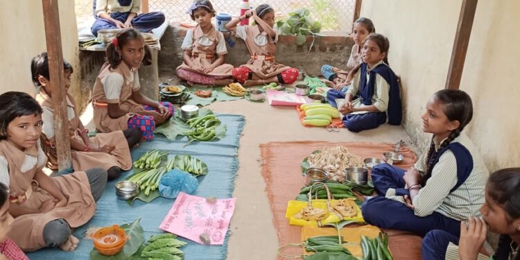सातपुड्याच्या कुशीत निसर्गाचं समृद्ध वरदान, विद्यार्थ्यानी दाखवले रानभाज्या उत्सवात