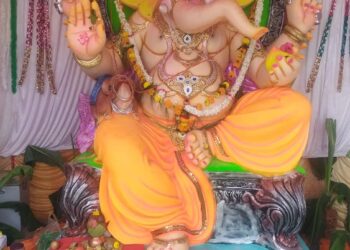 बोरद वगळता परिसरात सर्वत्र गणपतीची मोठ्या उत्साहात स्थापना