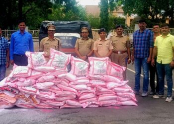 अरे बापरे: नंदूरबार येथून 1 हजार 120 किलो भेसळयुक्त गुलाल पोलिसांनी केला जप्त, एकास अटक