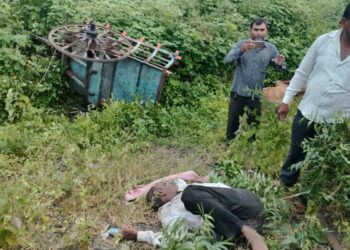 बैलगाडीला कंटेनरची धडक, शेतकर्‍यासह बैलाचा मृत्यू