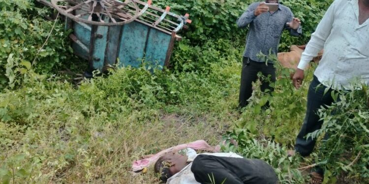 बैलगाडीला कंटेनरची धडक, शेतकर्‍यासह बैलाचा मृत्यू