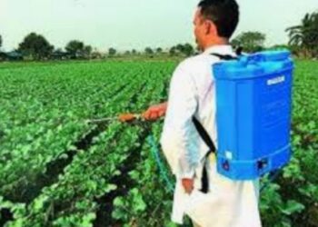 कृषि विभागाच्या पथकाने छापा टाकत पाच लाखाचे बोगस किटकनाशक केले जप्त, एका विरुद्धगुन्हा दाखल