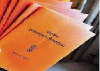 शिधापत्रिकेवर किती धान्य दिले गेले याबाबतची माहिती संकेतस्थळावर उपलब्ध