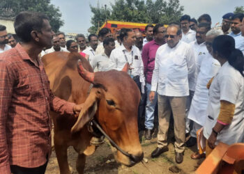 जनावरांचे लसीकरण युद्ध पातळीवर राबविण्याचे निर्देश
