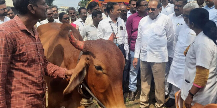 जनावरांचे लसीकरण युद्ध पातळीवर राबविण्याचे निर्देश