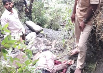 बकऱ्या चरावयास गेलेल्या युवकावर दरड कोसळल्याने जागीच मृत्यू