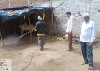 बोरद येथे लम्पि आजाराच्या पार्श्वभूमीवर संपूर्ण गावात फवारणी
