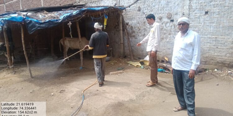 बोरद येथे लम्पि आजाराच्या पार्श्वभूमीवर संपूर्ण गावात फवारणी