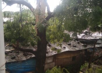 वीज कोसळल्याने घराचे झाले नुकसान, मात्र जीवित हानी टळली