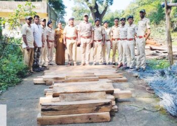 नर्मदा काठच्या नाल्यातून साग चौपाटचे 50 नग जप्त