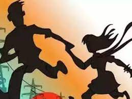 वासरवेल येथून मुलीला पळविले