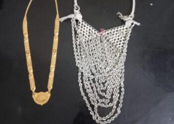 देवमोगरा माता मंदिरातील चोरी प्रकरणी दोघांना अटक