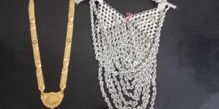 देवमोगरा माता मंदिरातील चोरी प्रकरणी दोघांना अटक