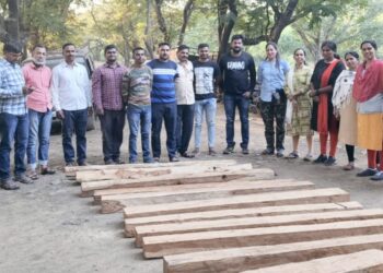 काटवनपाडा येथे वनविभागाने केले सागवानी लाकूड जप्त