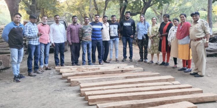 काटवनपाडा येथे वनविभागाने केले सागवानी लाकूड जप्त