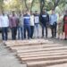 काटवनपाडा येथे वनविभागाने केले सागवानी लाकूड जप्त