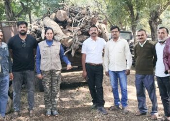 नवापूर तालुक्यात वनविभागाने अवैध लाकडासह सहा लाखांचा मुद्देमाल केला जप्त