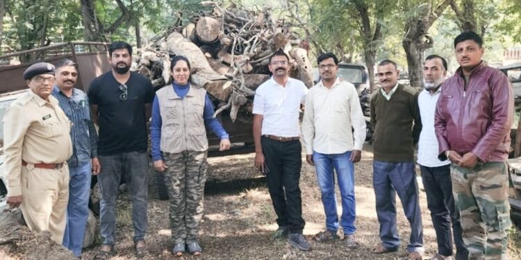 नवापूर तालुक्यात वनविभागाने अवैध लाकडासह सहा लाखांचा मुद्देमाल केला जप्त