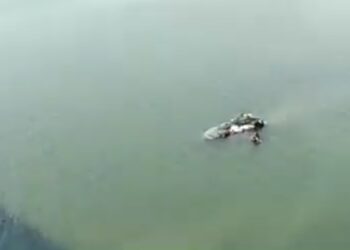 भरधाव मालवाहू आयशर ट्रक नदीपात्रात कोसळला