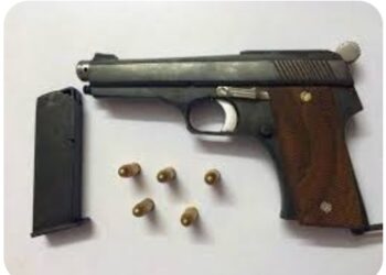शहादा येथे गावठी पिस्तूल व दोन काडतुसे जप्त, एकास अटक