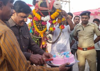काय सांगता : अश्वप्रेमीने चक्क आपल्या लाडक्या बादलचा केक भरून वाढदिवस केला साजरा