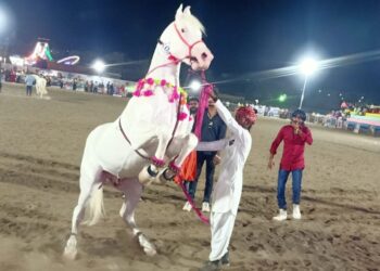 अश्वनृत्य स्पर्धेत शाहरुखने पटकावीला प्रथम क्रमांक