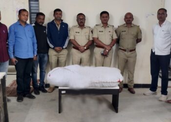 पोलीसांनी धाड टाकत दिड लाखाचा गांजा केला जप्त, एकास अटक