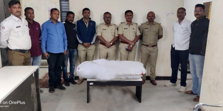 पोलीसांनी धाड टाकत दिड लाखाचा गांजा केला जप्त, एकास अटक