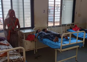 अरे बापरे : विषारी वनस्पतीच्या बिया खाल्याने सात विद्यार्थ्यांना विषबाधा