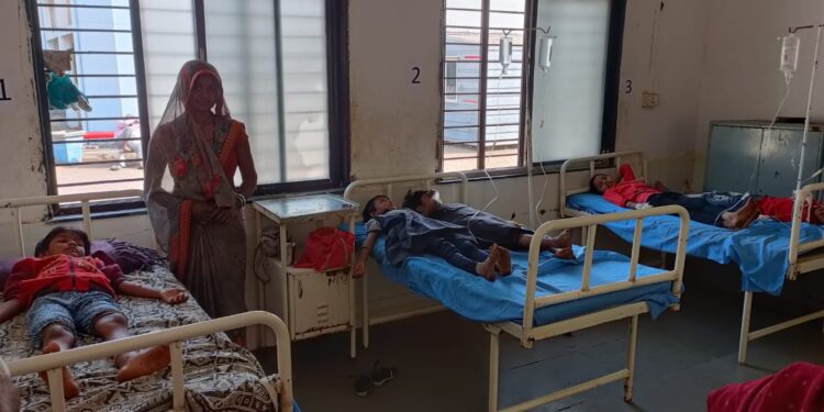 अरे बापरे : विषारी वनस्पतीच्या बिया खाल्याने सात विद्यार्थ्यांना विषबाधा